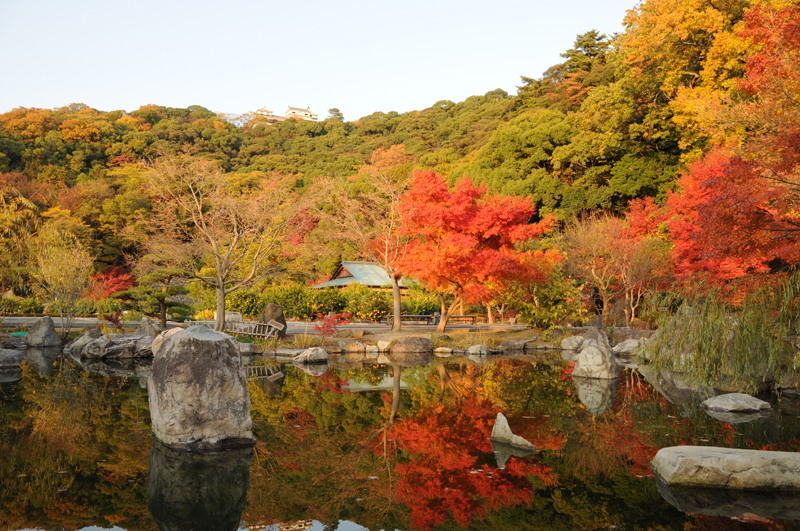 松山城二之丸史跡庭園 紅葉 E 103 なもちゃんカメラマンのphotoギャラリー 財団法人 松山観光コンベンション協会 いで湯と城と文学のまち